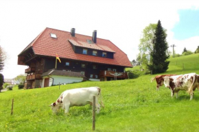 Haus Winterberg Schonach Im Schwarzwald